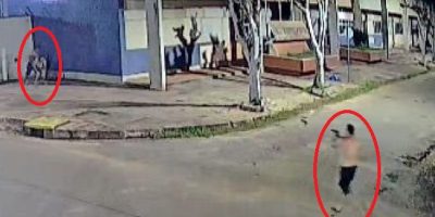 Captura de tela 2026-05-29 084312