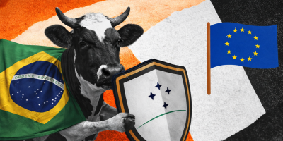 ChatGPT-Image-16-de-dez.-de-2025-22_55_27-e1765936579993