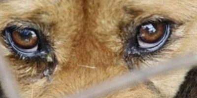 E7F71347-BA2A-49C1-B4DB-4D9AC307C456