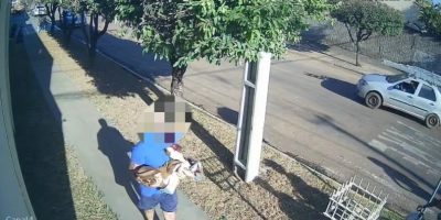 Momento em que o tutor socorre a cadela Luna - Foto: Câmera de Segurança