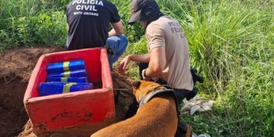 Durante as buscas, com apoio do canil da PF, foram encontradas drogas, armas e material usado em golpes