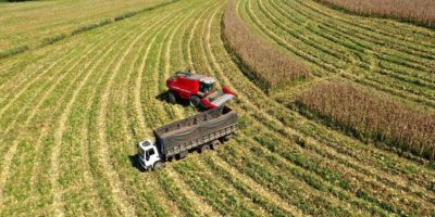 Release_Balanca-Agro-Paulista_10.4-1-848x477