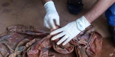 WhatsApp Image 2026-01-20 at 08.48.50