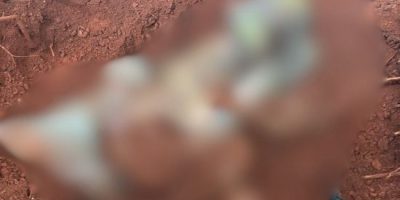 a6f1fe1b-8dfe-496f-a9ba-c6b3611475e5