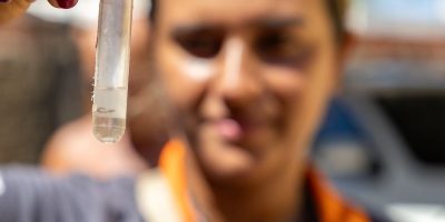 arboviroses-rondonópolis