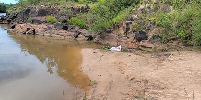 c13c9733-6281-4392-b91e-d873e5df8b89