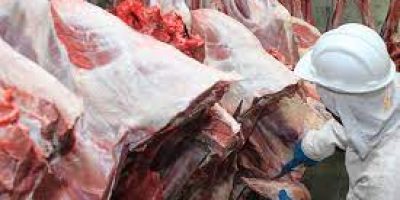 carne carne