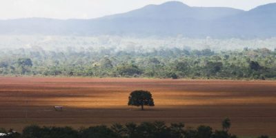 cerrado