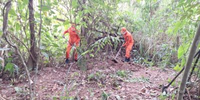 e1893c0e-48f1-47dc-8b86-ee4213f624b3