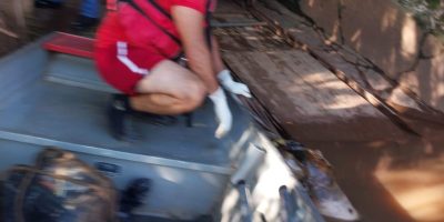 encontrada-morta-rio-vermelho