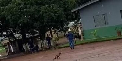 homem-atira-contra-cachorro