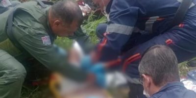 idoda-atacada-pitbulls