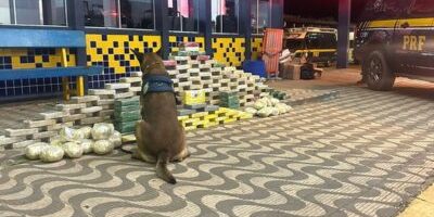 k9-cocaina k9-cocaina