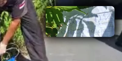 morr.jpg.bv_resized_ipad.jpg.bv