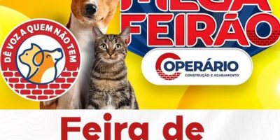 operário-feira