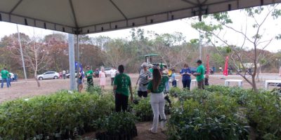 projeto-arvores-mudas-sell